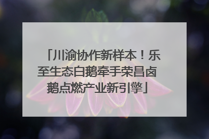 川渝协作新样本！乐至生态白鹅牵手荣昌卤鹅点燃产业新引擎