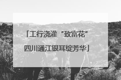 工行浇灌“致富花” 四川通江银耳绽芳华