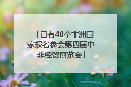 已有48个非洲国家报名参会第四届中非经贸博览会