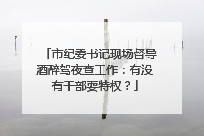 市纪委书记现场督导酒醉驾夜查工作：有没有干部耍特权？