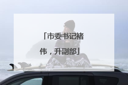 市委书记褚伟，升副部