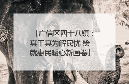 广信区四十八镇：真干真为解民忧 绘就惠民暖心新画卷