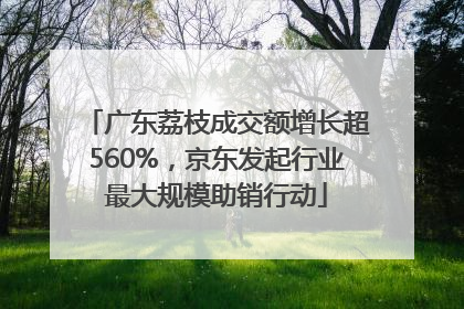 广东荔枝成交额增长超560%，京东发起行业最大规模助销行动