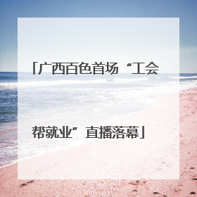 广西百色首场“工会帮就业”直播落幕