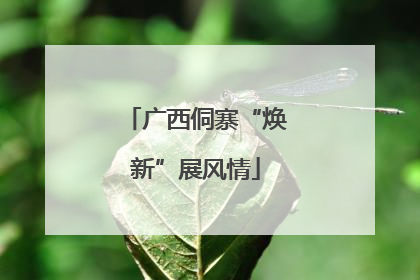 广西侗寨“焕新”展风情