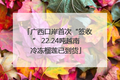 广西口岸首次“签收” 22.24吨越南冷冻榴莲已到货