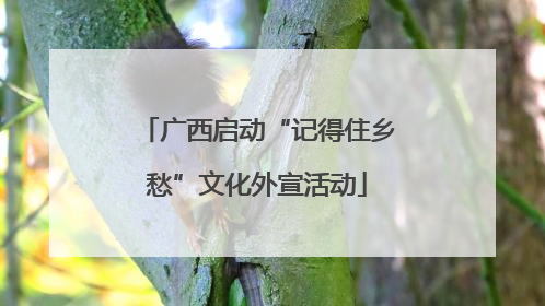 广西启动“记得住乡愁”文化外宣活动