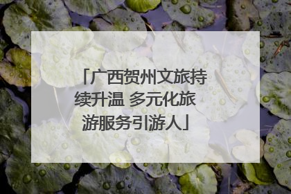 广西贺州文旅持续升温 多元化旅游服务引游人