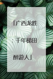 广西龙胜：千年梯田醉游人