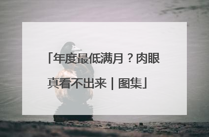 年度最低满月？肉眼真看不出来｜图集