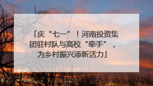 庆“七一”！河南投资集团驻村队与高校“牵手”，为乡村振兴添新活力