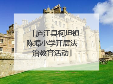 庐江县柯坦镇陈埠小学开展法治教育活动