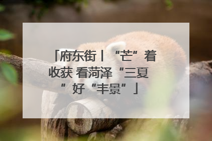 府东街丨“芒”着收获 看菏泽“三夏”好“丰景”