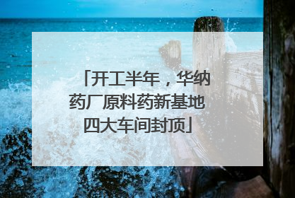 开工半年，华纳药厂原料药新基地四大车间封顶