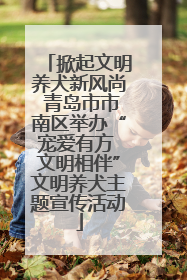 掀起文明养犬新风尚 青岛市市南区举办“宠爱有方 文明相伴”文明养犬主题宣传活动