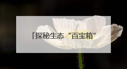 探秘生态“百宝箱” 杭州首个生物多样性监测体验地开放