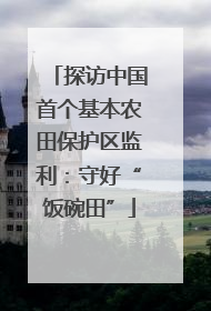 探访中国首个基本农田保护区监利：守好“饭碗田”