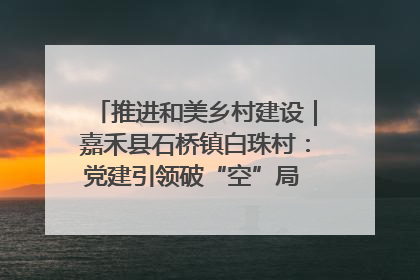 推进和美乡村建设｜嘉禾县石桥镇白珠村：党建引领破“空”局 乡贤聚力绘就新图景