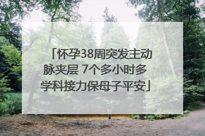 怀孕38周突发主动脉夹层 7个多小时多学科接力保母子平安