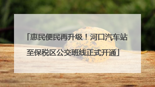 惠民便民再升级！河口汽车站至保税区公交班线正式开通