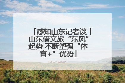 感知山东记者谈丨山东借文旅“东风”起势 不断塑强“体育+”优势