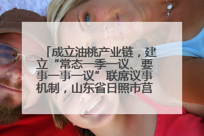 成立油桃产业链，建立“常态一季一议、要事一事一议”联席议事机制，山东省日照市莒县果庄镇——13个党小组“全周期”育果