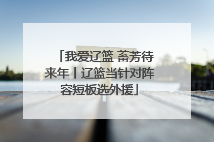 我爱辽篮 蓄芳待来年丨辽篮当针对阵容短板选外援