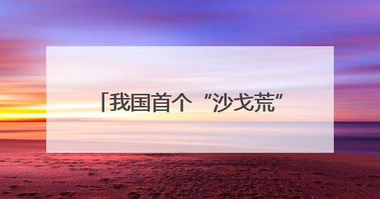 我国首个“沙戈荒”光伏“练兵场”长啥样？总台记者探访→