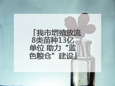 我市增殖放流8类苗种13亿单位 助力“蓝色粮仓”建设