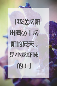 我送岳阳出圈⑦丨岳阳的夏天，是小龙虾味的！