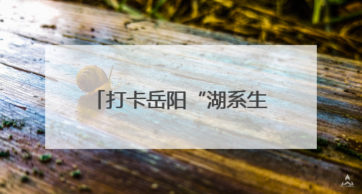 打卡岳阳“湖系生活”：老街寻古韵，渔歌小镇品烟火