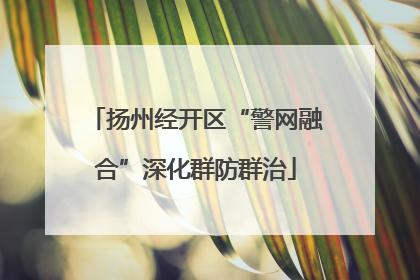 扬州经开区“警网融合”深化群防群治