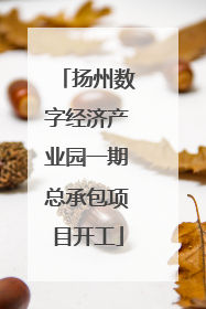 扬州数字经济产业园一期总承包项目开工