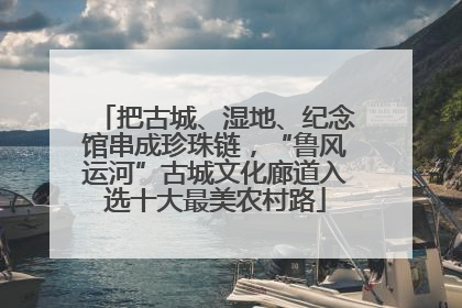 把古城、湿地、纪念馆串成珍珠链，“鲁风运河”古城文化廊道入选十大最美农村路