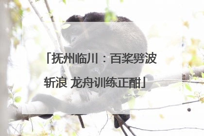 抚州临川：百桨劈波斩浪 龙舟训练正酣