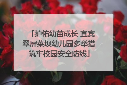 护佑幼苗成长 宜宾翠屏菜坝幼儿园多举措筑牢校园安全防线