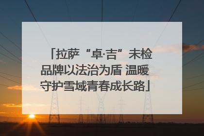 拉萨“卓·吉”未检品牌以法治为盾 温暖守护雪域青春成长路