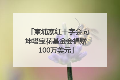 柬埔寨红十字会向坤塔宝花基金会捐赠100万美元