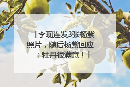 李现连发3张杨紫照片，随后杨紫回应：牡丹很满意！