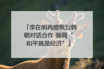 李在明再提恢复韩朝对话合作 强调“和平就是经济”