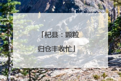 杞县：颗粒归仓丰收忙