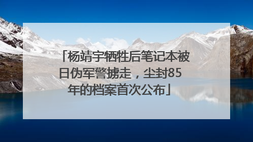 杨靖宇牺牲后笔记本被日伪军警掳走，尘封85年的档案首次公布