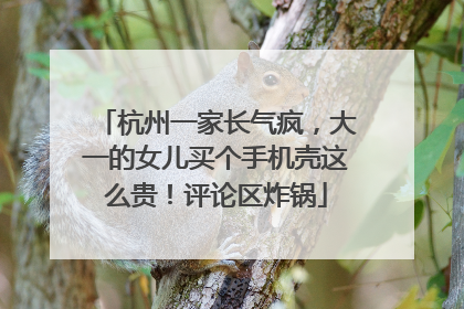 杭州一家长气疯，大一的女儿买个手机壳这么贵！评论区炸锅