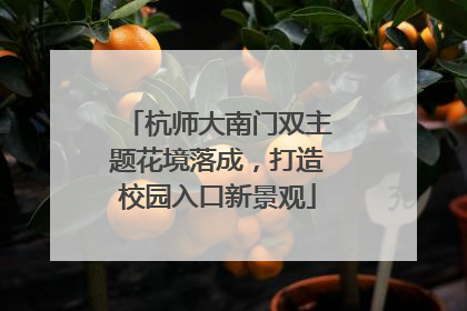 杭师大南门双主题花境落成，打造校园入口新景观