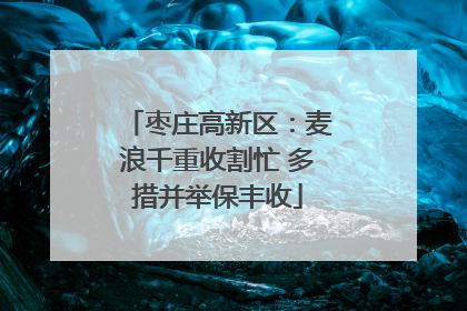 枣庄高新区：麦浪千重收割忙 多措并举保丰收