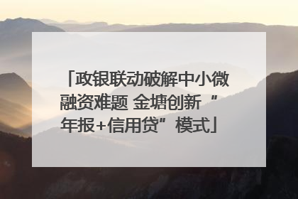 政银联动破解中小微融资难题 金塘创新“年报+信用贷”模式