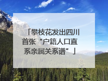 攀枝花发出四川首张“户籍人口直系亲属关系谱”