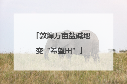 敦煌万亩盐碱地变“希望田”