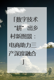数字技术“耕”出乡村新图景：电商助力三产深度融合