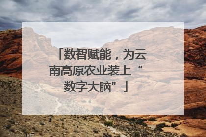 数智赋能，为云南高原农业装上“数字大脑”
